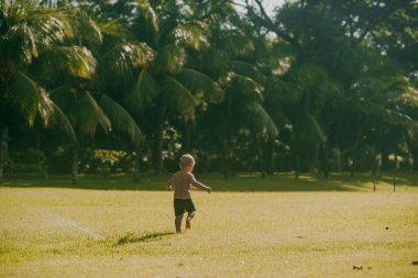 güneşli günde Bali tropikal parkta oynarken küçük bebek