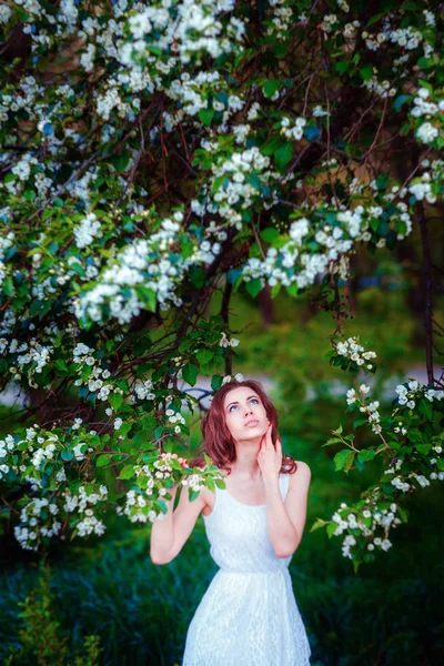 Bir ba poz beyaz elbiseli esmer saçlı güzel kadın — Stok fotoğraf