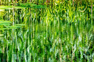 Su seviyesi izlenimci yansıması