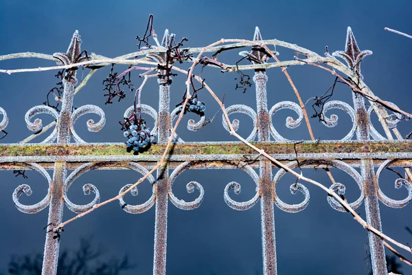 Frost Zaun — Stockfoto