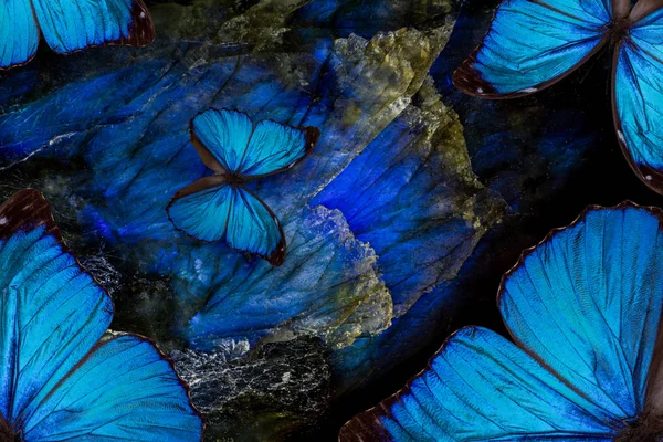 Die Blauen Schmetterlinge Fliegen Den Blauen Edelstein — Stockfoto