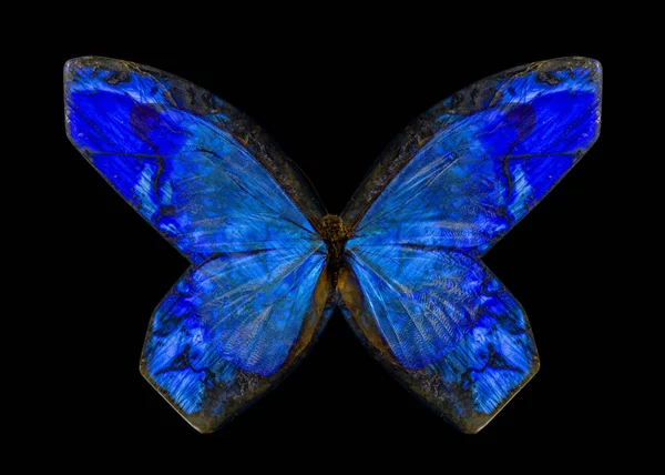 Stone Blue Butterfly Isolated Black Background — Stock Photo, Image