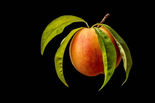 orange peaches with a leaf on a black background