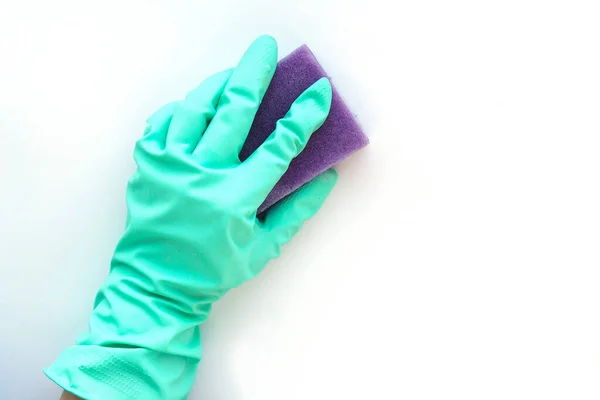 hand in a blue rubber glove with a purple sponge for washing on a white background. cleaning concept.
