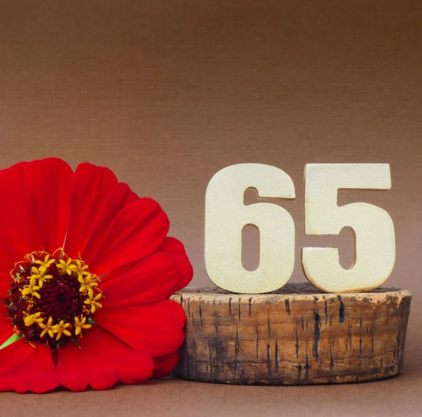Kahverengi Arka Planda Hacimsel Altın Rakam Kırmızı Gerbera Çiçeği Metin — Stok fotoğraf