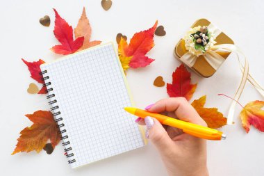 Kadın eli bir deftere kırmızı ve sarı akçaağaç yaprakları ve altın bir hediye kutusu yazar. konsept merhaba sonbahar.