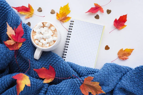 Composition Automne Pull Tricoté Bleu Feuilles Érable Rouges Jaunes Carnet Photo De Stock