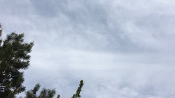 Nuvens Céu Antes Chuva — Vídeo de Stock