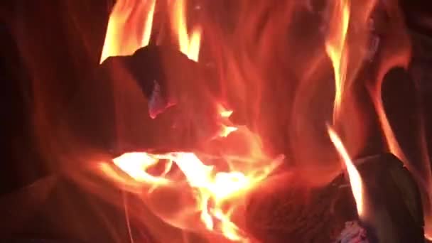 炎は暗闇の中でゆっくり燃える — ストック動画