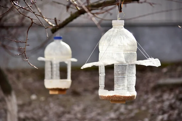 Ağaçta asılı duran plastik bir şişeden kuş yemi. Geri dönüştürülmüş plastik.