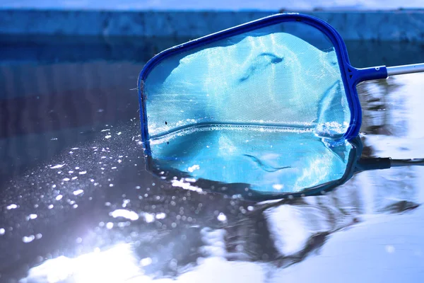 a blue pool net removes dirt from the surface of the water. pool surface cleaning. High quality photo
