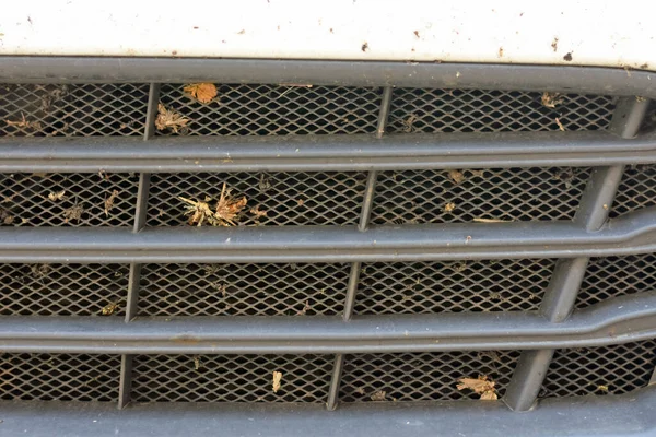 various insects on the car radiator grill. High quality photo