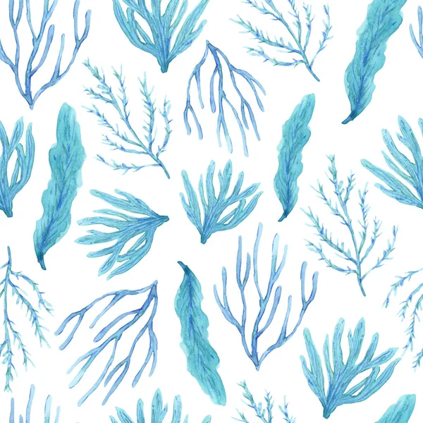 Бесшовный узор с раскрашенными вручную акварелью спокойными водорослями — стоковое фото