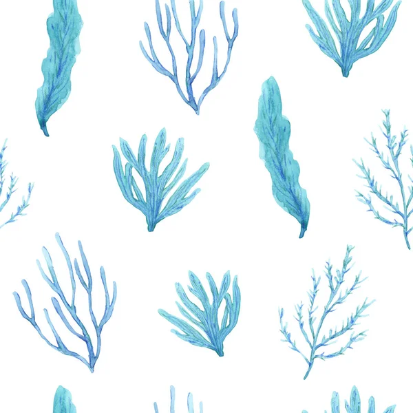 无缝的水彩图案手绘平静的海藻 — 图库照片