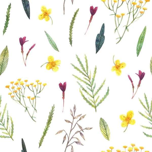 Nahtloses Aquarell-Muster von Wildblumen — Stockfoto