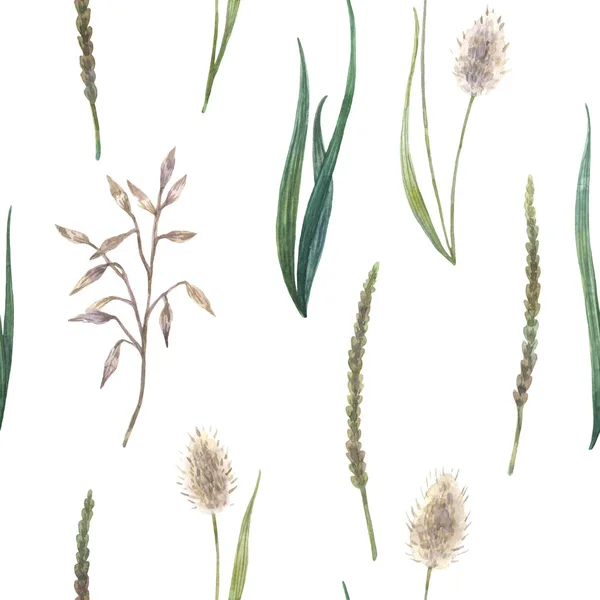Бесшовный акварельный рисунок из диких трав — стоковое фото