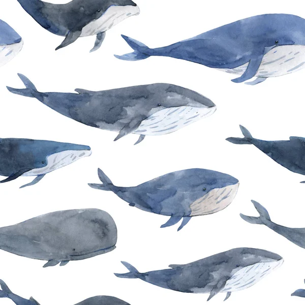 Modèle sans couture d'aquarelle dessinée à la main baleines calmes en gris un — Photo