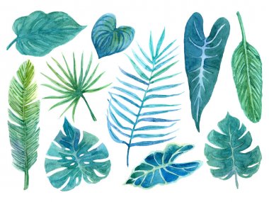 Tropikal bitkilerin yemyeşil ile ayarlayın.