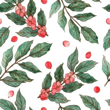 Kırmızı kahve meyveli kahve dallarının dikişsiz suluboya deseni.