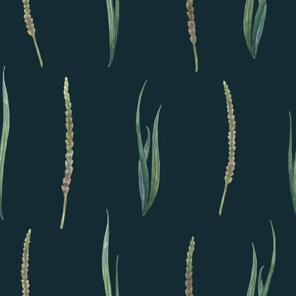 Bujna trawa z dzikich pól malowana ręcznie. — Zdjęcie stockowe