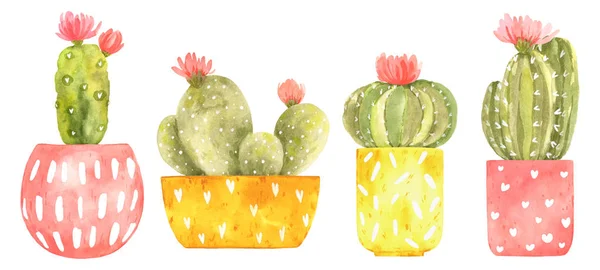 Set con cactus floreciente acuarela en macetas brillantes lindas con spo —  Fotos de Stock
