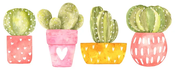 Set con acuarela de cactus espinoso en macetas brillantes lindo con escuchar — Foto de Stock