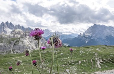 İtalya'da Dolomites Moutain manzara