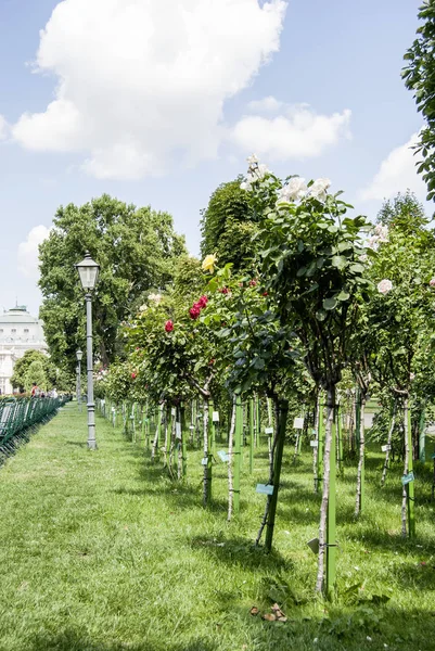 Ogród obok Zamku Belvedere, Wiedeń w Austrii — Zdjęcie stockowe