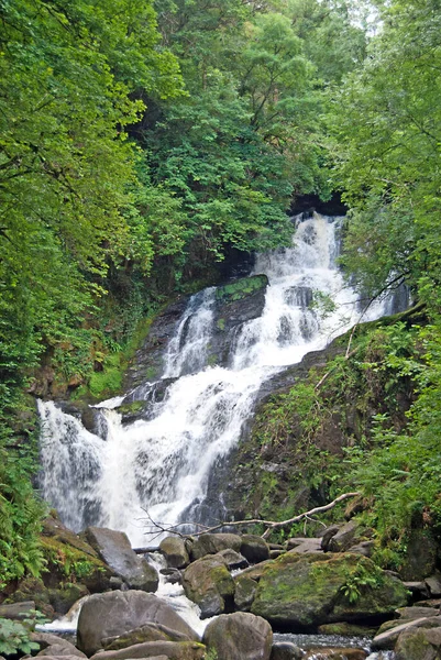 İrlanda 'daki Killarney Ulusal Parkı' nda Torc şelalesi