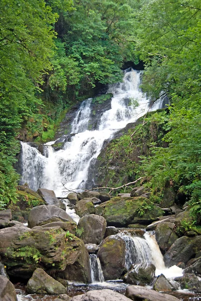 İrlanda 'daki Killarney Ulusal Parkı' nda Torc şelalesi