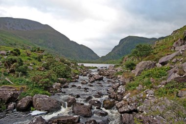 İrlanda 'daki Killarney Ulusal Parkı' ndaki Old Weir Köprüsü 'nün yanındaki derede.