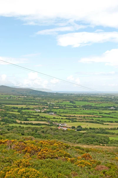 Yeşil manzaralı bir tepeden bir sürü tarlası olan İrlanda manzarası