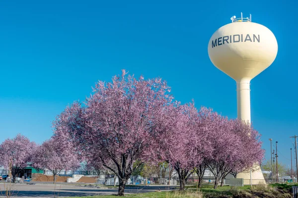 Meridian Idaho pembe ağaçlarıyla sarı su kulesi ve mavi gökyüzü