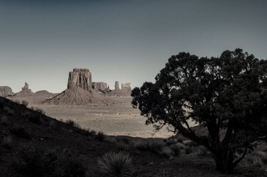 Monument valley gölgelerde ağacıyla benzersiz görünümü