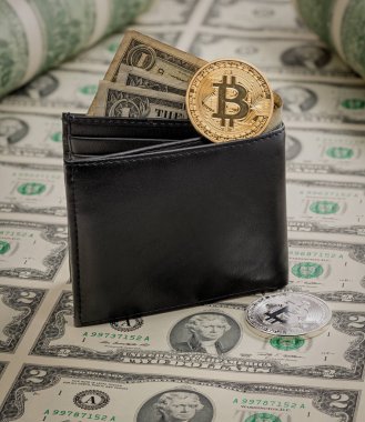 Altın ve gümüş bitcoin MEB bir sayfada ile deri cüzdan