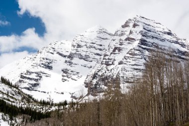 Kayalık dağ zirveleri karla onları ve grove Aspen ağaçlar