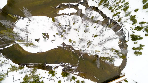Snow covered island in Redfish Creek winter Idaho wilderness — Stock Photo, Image