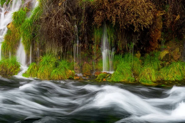 De petites sources provenant du sol alimentent un petit ruisseau — Photo