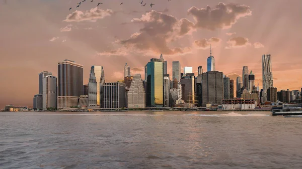 New York skyline in the morning with a flock of birds — Stock Photo, Image