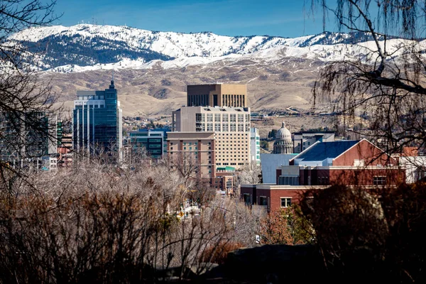 Edifici alti di Boise Idaho visti attraverso alcuni alberi — Foto Stock