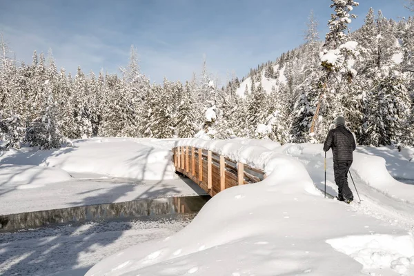 Sendero de esquí conduce a través de un puente en un bosque de invierno cubierto de nieve — Foto de Stock