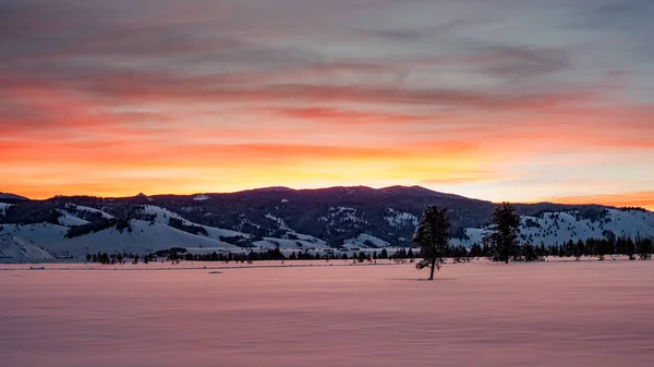 Salida del sol de invierno cerca de Stanley Idaho con nieve y clo de colores cálidos — Foto de Stock