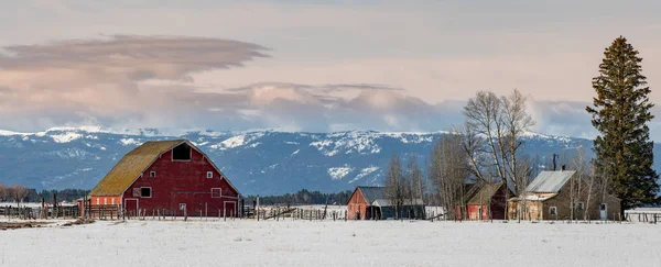 Rote Scheune und verlassener Bauernhof im Winter mit Schnee auf dem Boden — Stockfoto