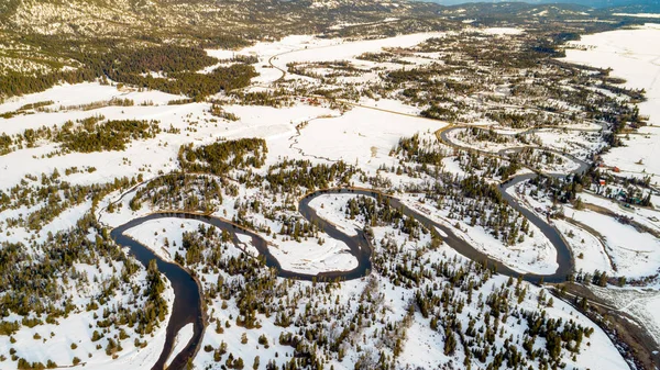 Meandrující řeka v zimě uprostřed zelených lesů — Stock fotografie