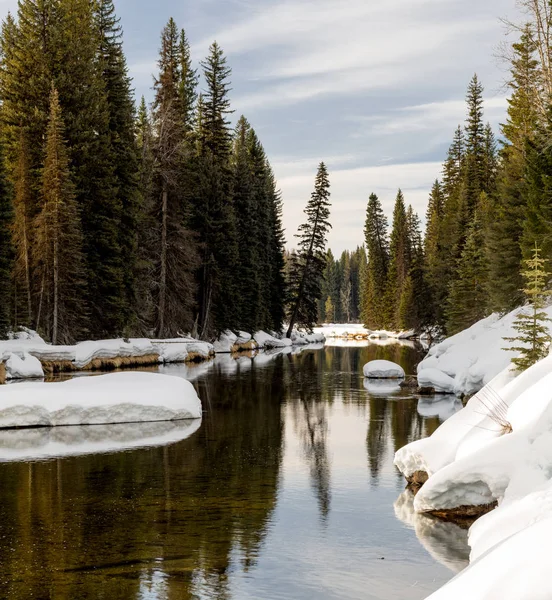 Idaho río de montaña fluye a través de un bosque de invierno con nieve en — Foto de Stock