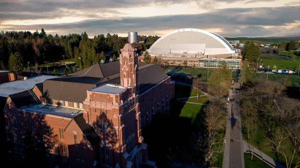 Universiteit voetbalstadion in Idaho met dennenbos — Stockfoto