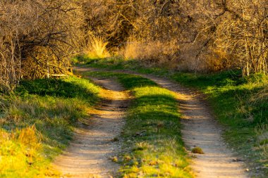 Toprak yol arasında yolları ve bir dönüş büyüyen çimen ile