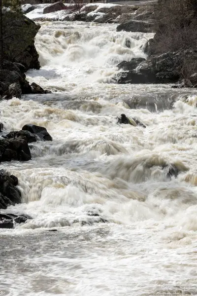 Losos říčku v Idahu během jarní utkání s rock — Stock fotografie