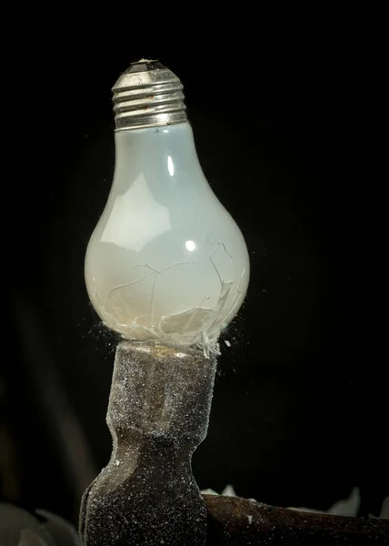 Last of the incandescent light bulbs finds its fate on the busin — Stock Photo, Image