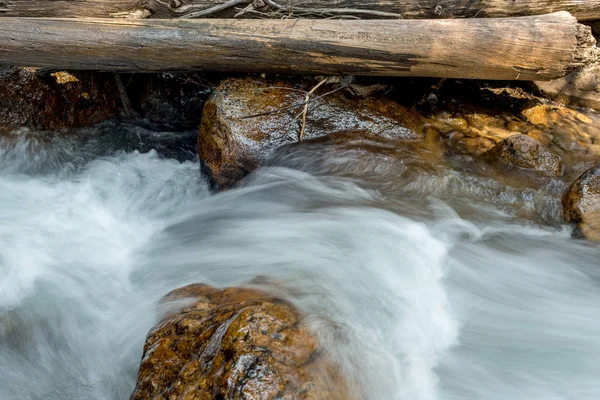 Wild Idaho river in the wilderness flows over rocks and logs — Stock Photo, Image